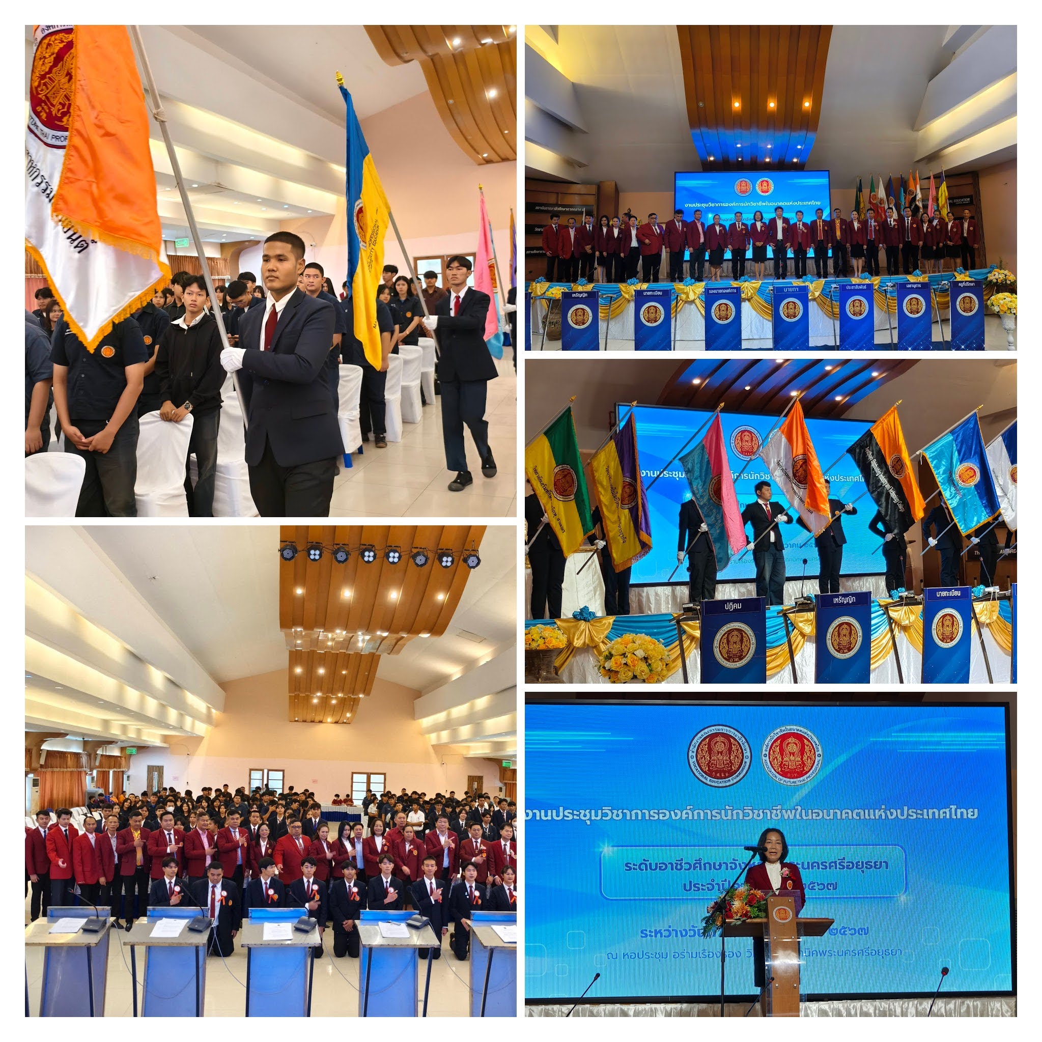 IMG 20241212 104445 COLLAGE